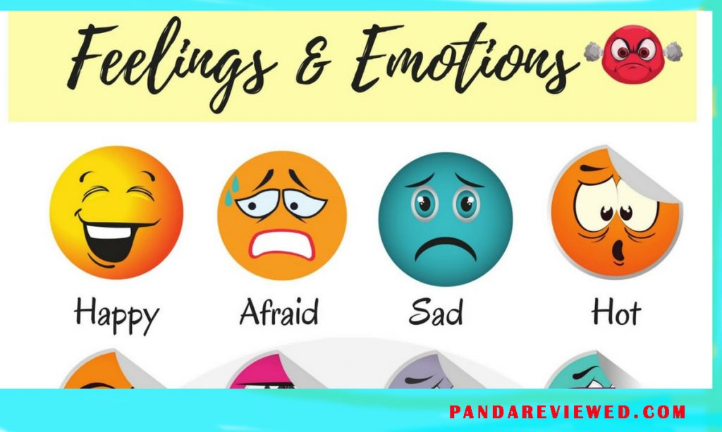 FEELINGS and EMOTIONS 