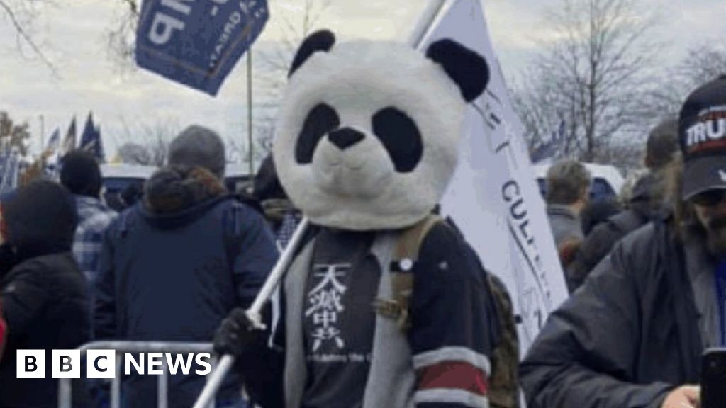 FBI arrests so-called sedition panda in 6 January Capitol riot case