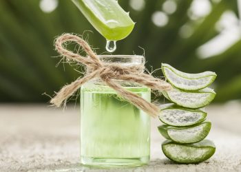 Aloe Vera’s Versatile Benefits