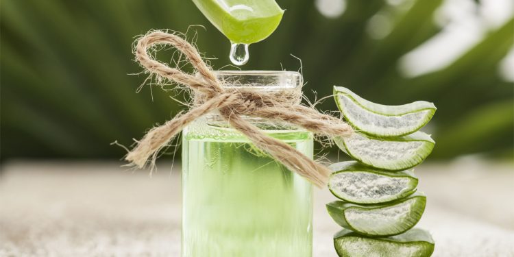 Aloe Vera’s Versatile Benefits